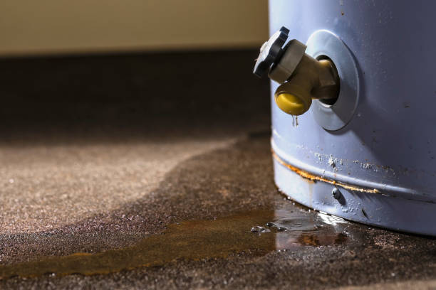 Best Fire Damage Restoration  in Willow Street, PA