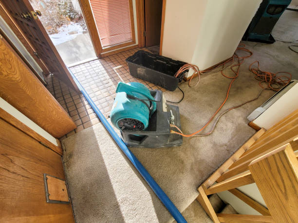 Best Mold removal after water damage  in Willow Street, PA