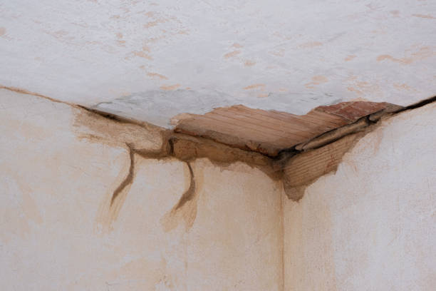 Best Flood damage cleanup  in Willow Street, PA
