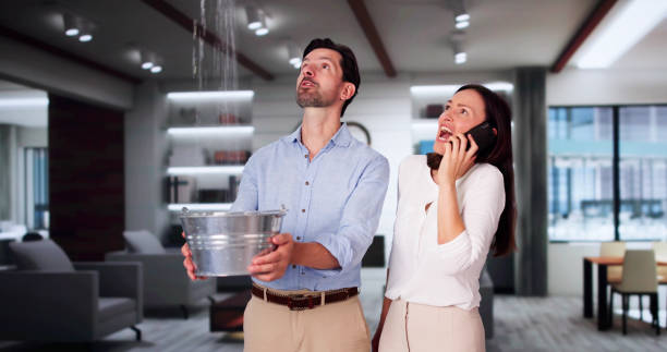 Best Water damage cleanup near me  in Willow Street, PA