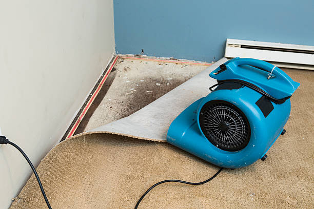 Best Water damage restoration near me  in Willow Street, PA